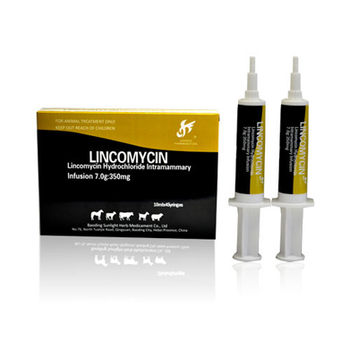 China Lincomycin HCL Intramammary Infusion( Lactating Cow) Manufacture ...